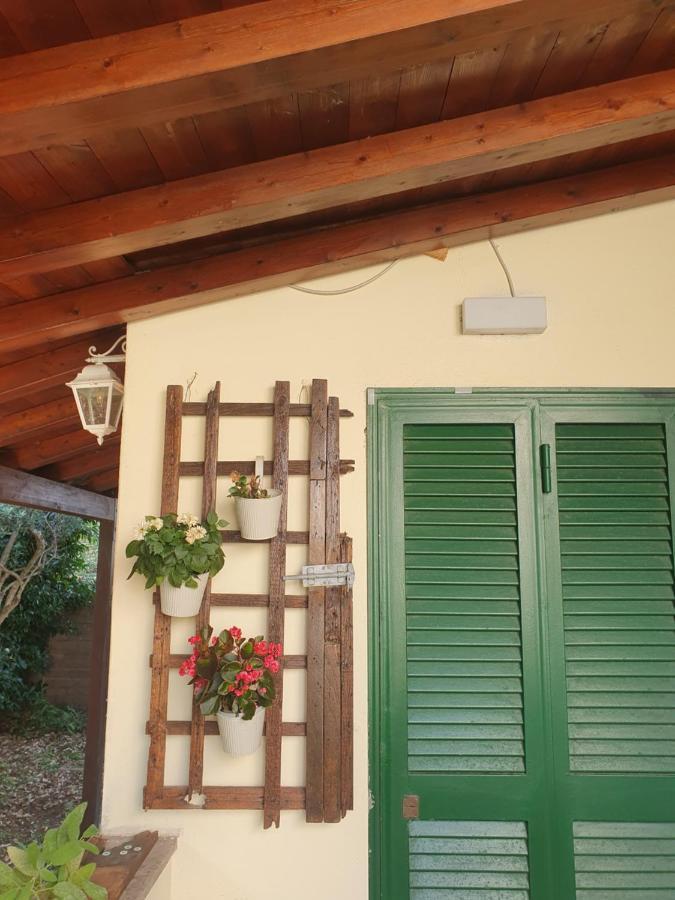 Andrea'S House Villa Fiumicino Ngoại thất bức ảnh